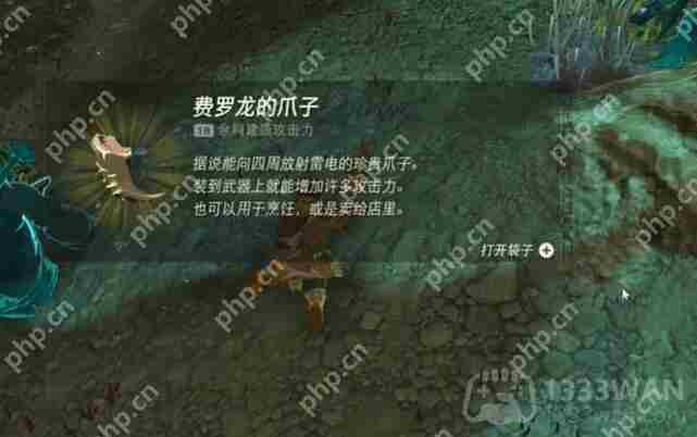 塞尔达传说王国之泪费罗尼地区勇气之泉的女神像怎么过-迷你挑战费罗尼地区勇气之泉的女神像攻略