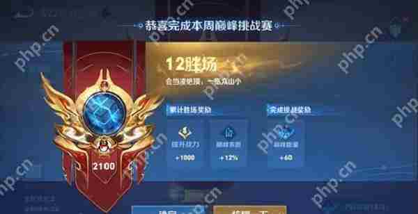 王者荣耀巅峰挑战赛是什么意思
