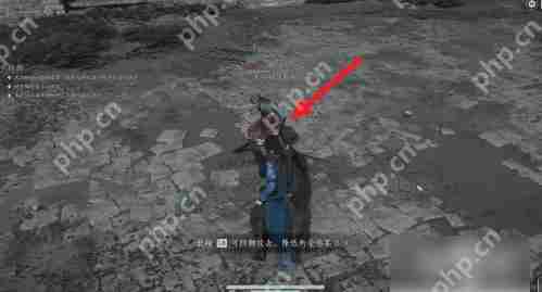 燕云十六声手游如何防御  燕云十六声手游防御攻略