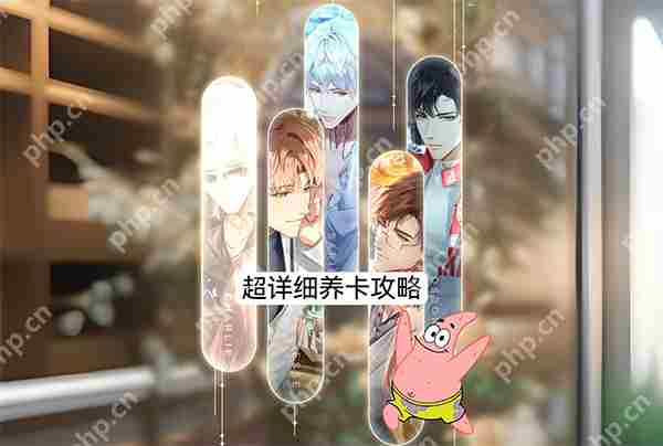 光与夜之恋简单易懂的新手养卡攻略