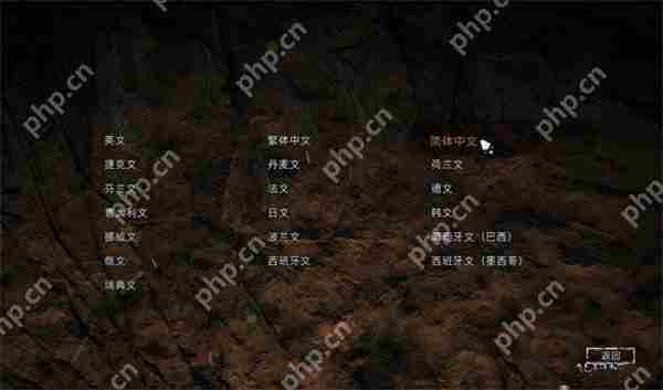孤岛惊魂原始杀戮中文设置教程