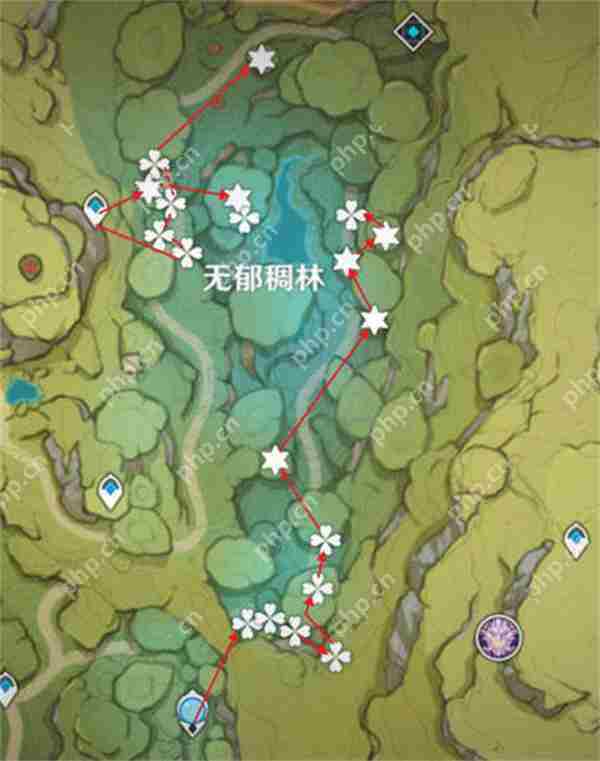 原神树王圣体菇采集路线攻略