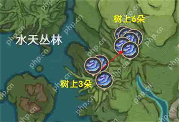 原神树王圣体菇采集路线攻略