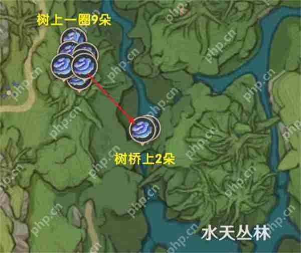 原神树王圣体菇采集路线攻略