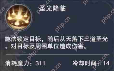 新神魔大陆神官技能介绍