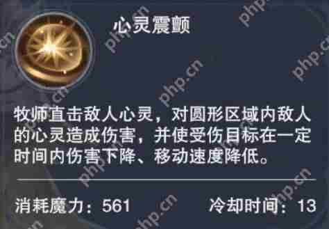 新神魔大陆神官技能介绍