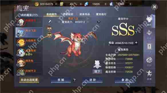 新神魔大陆咒术师攻略