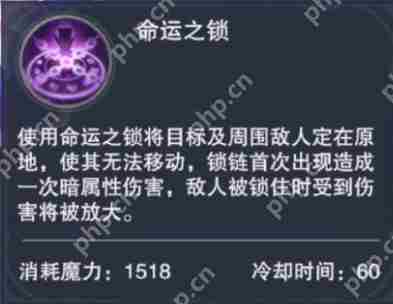 新神魔大陆魔剑士技能介绍