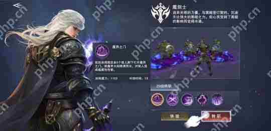 新神魔大陆魔剑士技能介绍