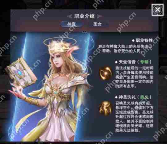 新神魔大陆牧师怎么样