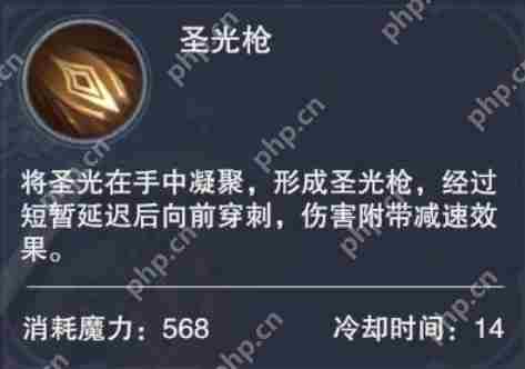 新神魔大陆圣女怎么样