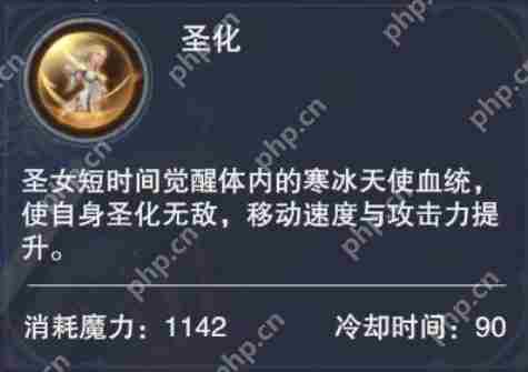 新神魔大陆圣女怎么样