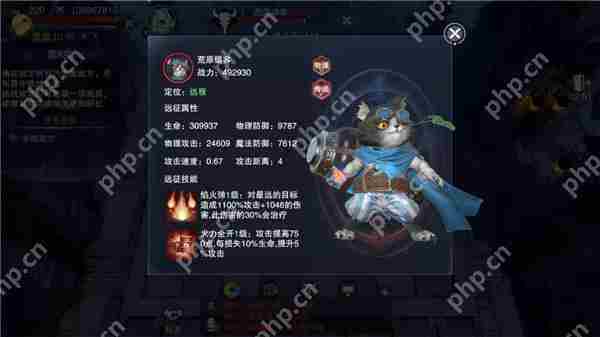 新神魔大陆魔宠远征攻略