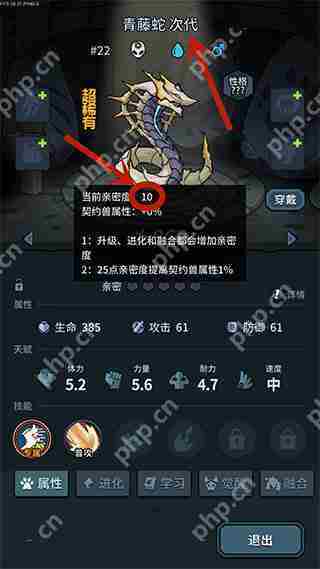 提灯与地下城宠物亲密度提升攻略