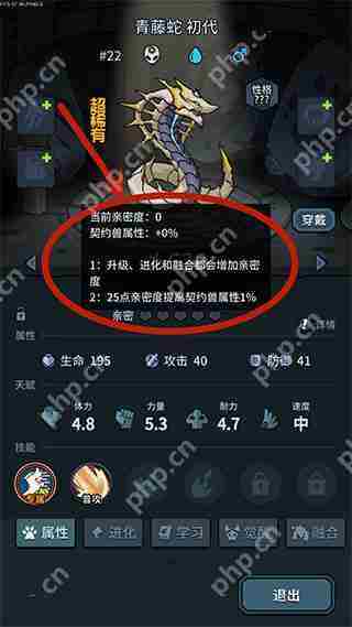 提灯与地下城宠物亲密度提升攻略