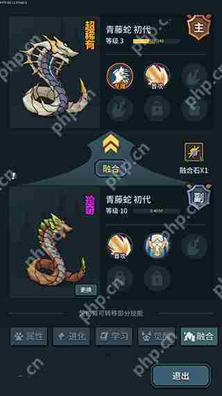 提灯与地下城宠物亲密度提升攻略