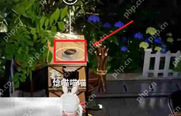 开放空间罗塔花园广场书籍在哪 罗塔花园广场书籍位置