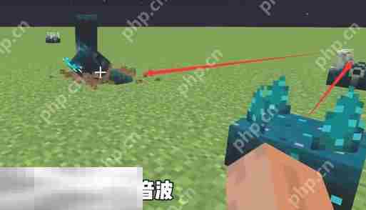 我的世界典狱长怎么召唤 典狱长召唤方法大全