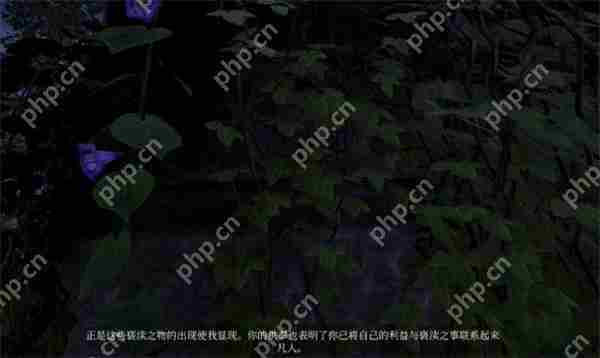 上古卷轴4重制版虎人之环获取方法分享