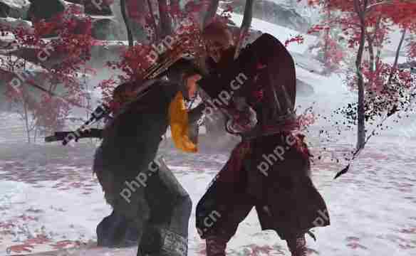 《羊蹄山之魂》ps4能不能玩