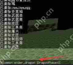 我的世界怎么在2025年重新召唤末影龙-2025年我的世界重新召唤末影龙的方法