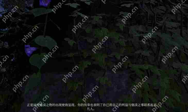 上古卷轴4重制版虎人之环怎么获得