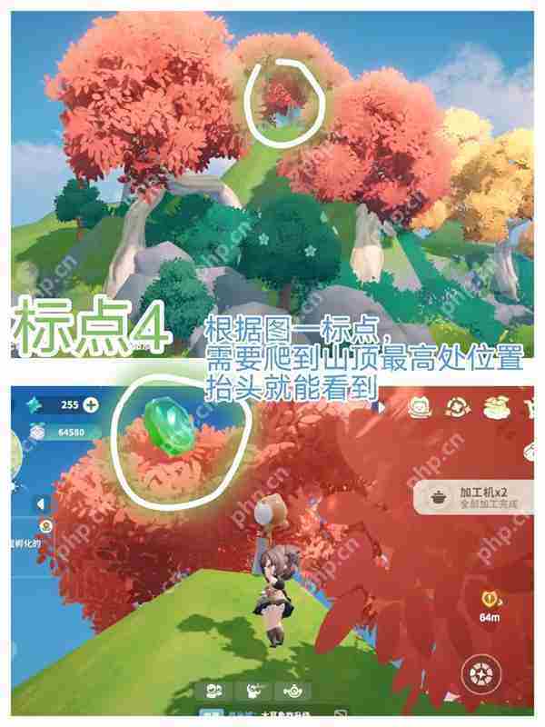 米姆米姆哈家园岛苍翠币获取攻略
