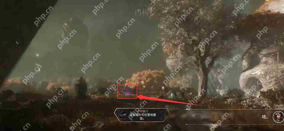 光与影33号远征队唱片全收集 卢明蜜月