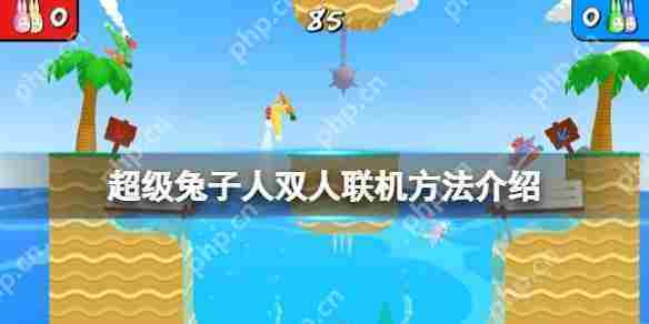 疯狂兔子人怎么联机-疯狂兔子人双人联机攻略