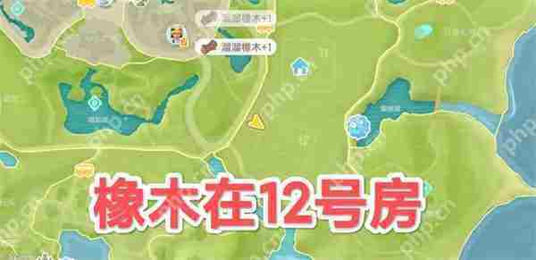 心动小镇5.9溜溜橡木与无瑕萤石位置