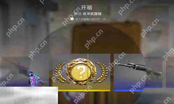 2025最新开箱子csgo网站推荐 老牌csgo开箱网站新手指南
