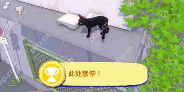 小猫咪大城市此处禁停成就怎么完成-小猫咪大城市此处禁停成就攻略