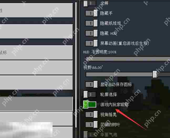 我的世界怎么隐藏玩家昵称 游戏名称隐藏方法介绍