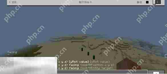 我的世界怎么显示坐标 坐标显示功能开启方法