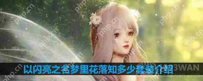 以闪亮之名梦里花落知多少套装介绍-梦里花落知多少细节展示