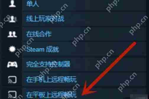 双人成行ipad可以玩吗-ipad能不能玩
