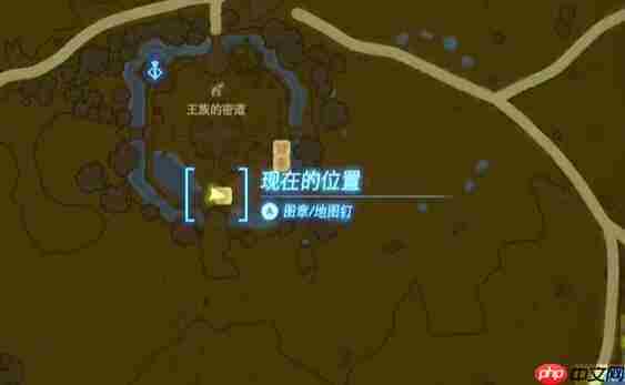 塞尔达中央海拉鲁马儿去向何方怎么过-迷你挑战马儿去向何方攻略