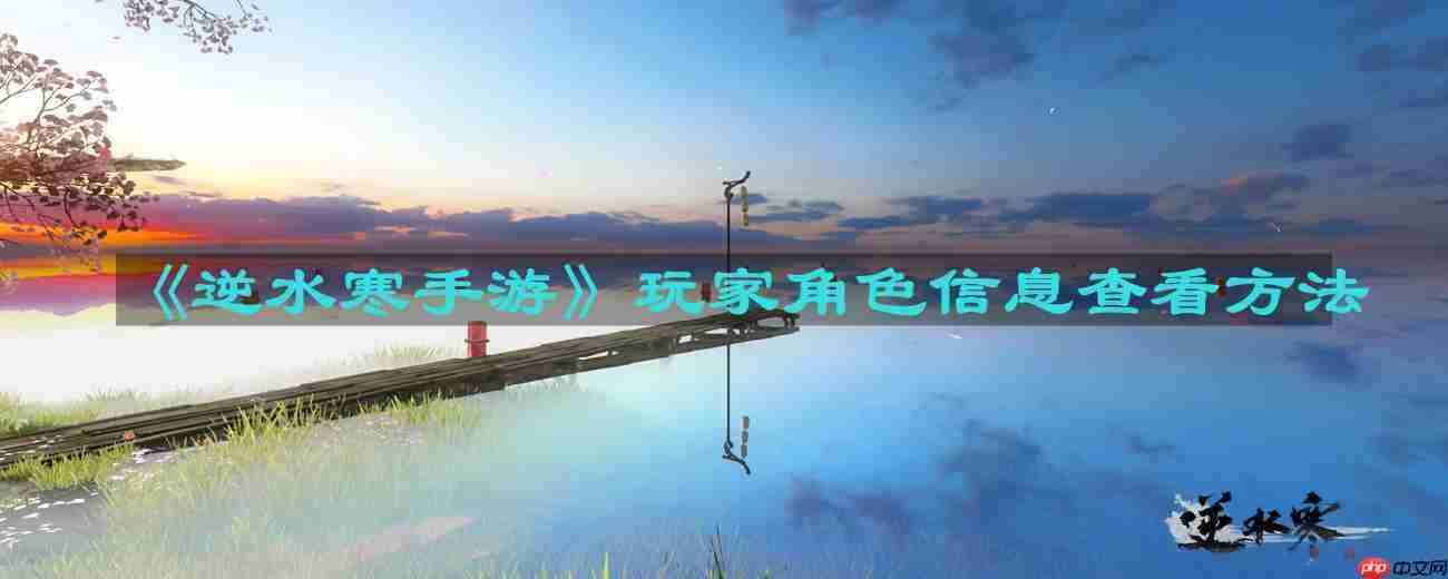 逆水寒手游玩家角色信息怎么查看-玩家角色信息查看方法